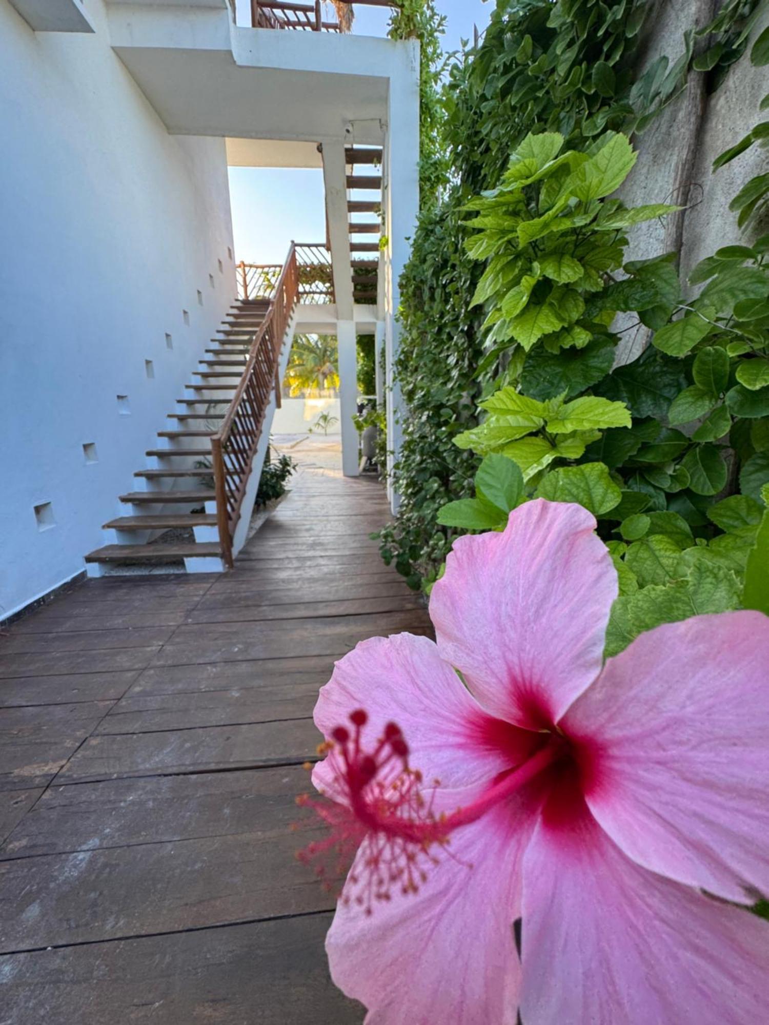 Mexhe Hotel El Cuyo Eksteriør billede